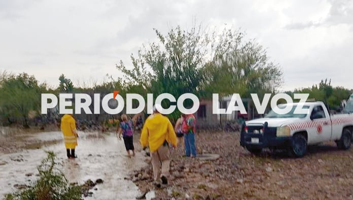 Por poco cae tráiler a barranco