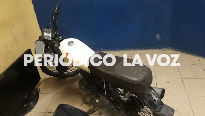 Trío de ratas apañaron miles en herramientas