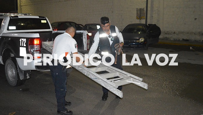 Perros delatan a ladrón del DIF
