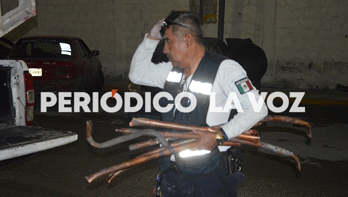 Perros delatan a ladrón del DIF