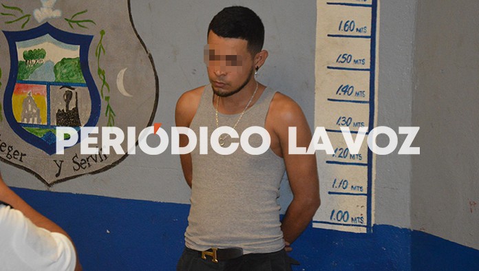 Perros delatan a ladrón del DIF