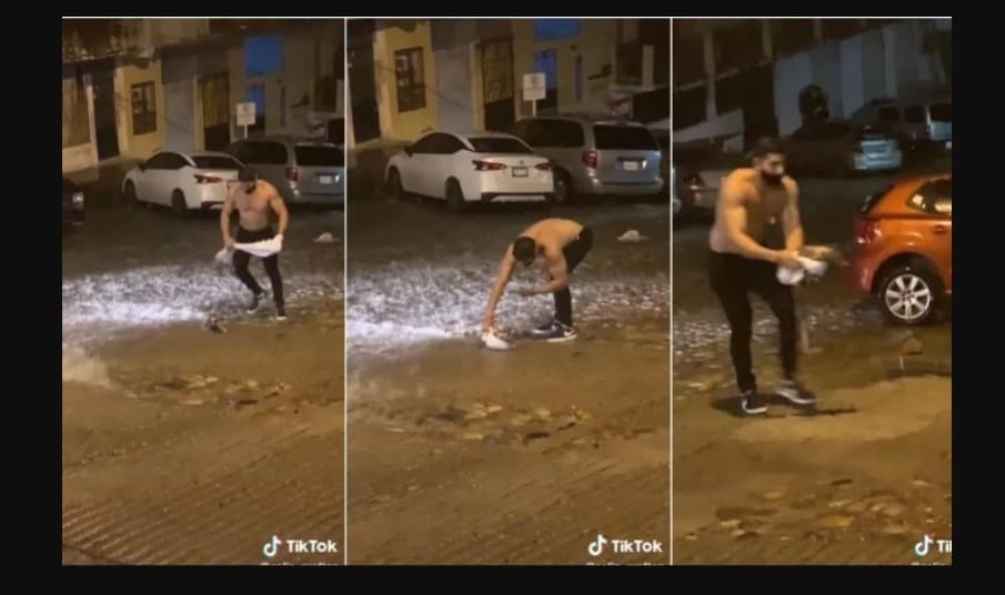 Hombre musculoso rescata a un tlacuache de la lluvia y causa sensación