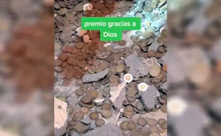 Tesoro escondido: derrumban pared y descubren una gran cantidad de monedas