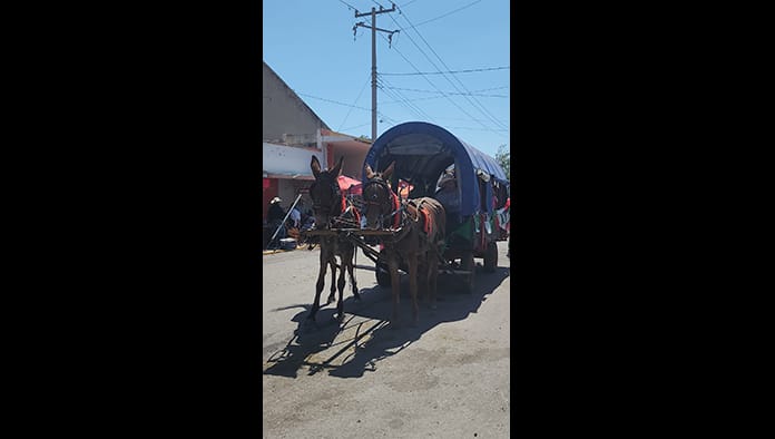 Búscate en la Cabalgata