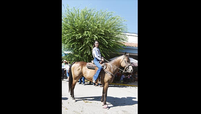 Disfrutan 50 mil de la cabalgata