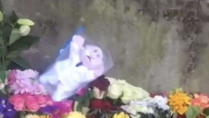 Dejan Dr. Simi entre flores en honor a la Reina Isabel II