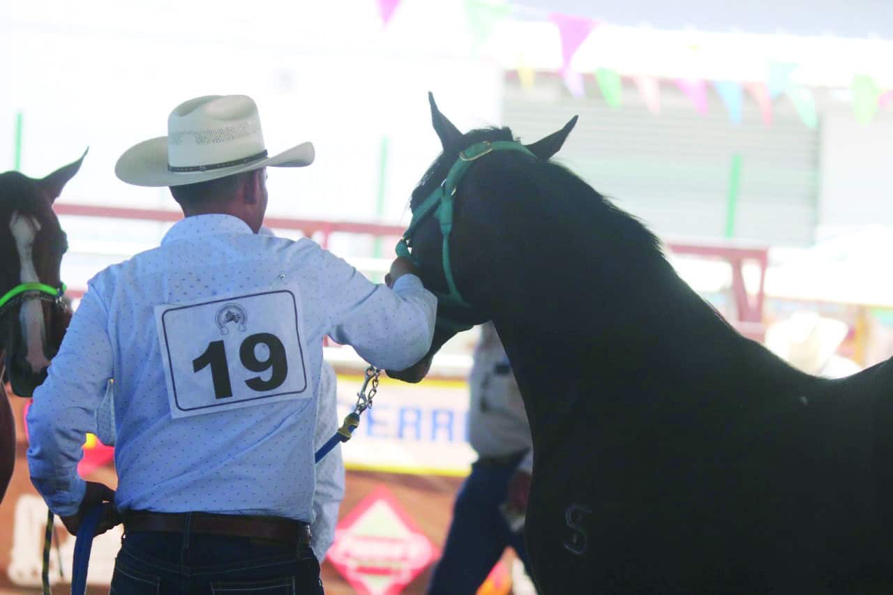 Exitoso cierre de Fiestas Grandes