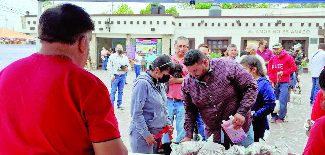 Retoman tradición de bendecir a mascotas