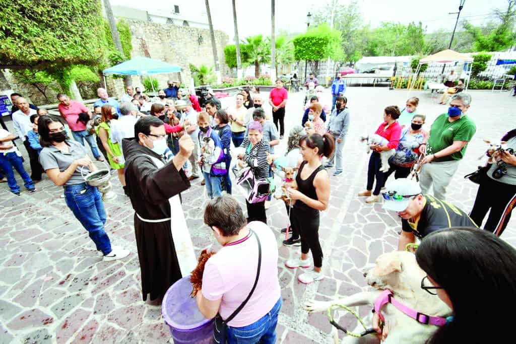 Retoman tradición de bendecir a mascotas
