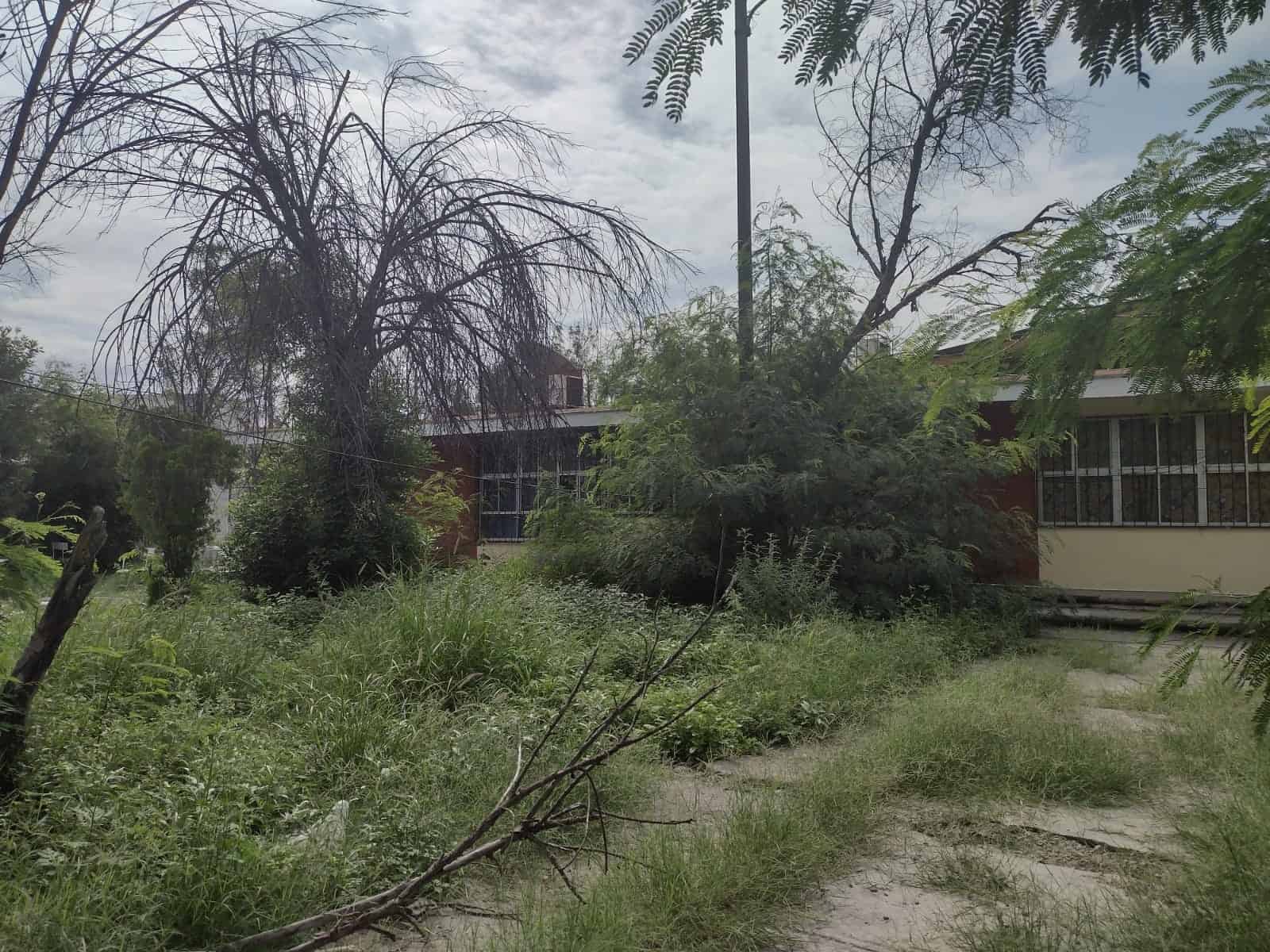 Solicitan limpieza y deshierbe de escuela