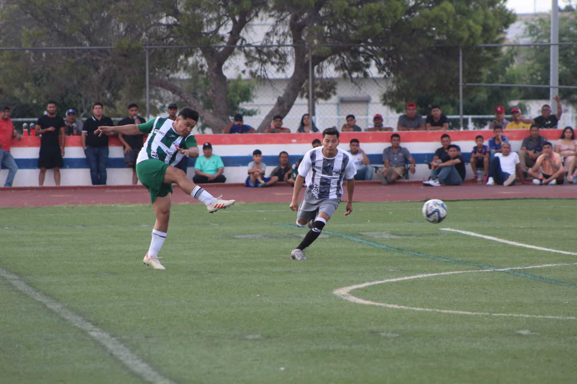 Alpine Monclova; Campeones de copa Telmex