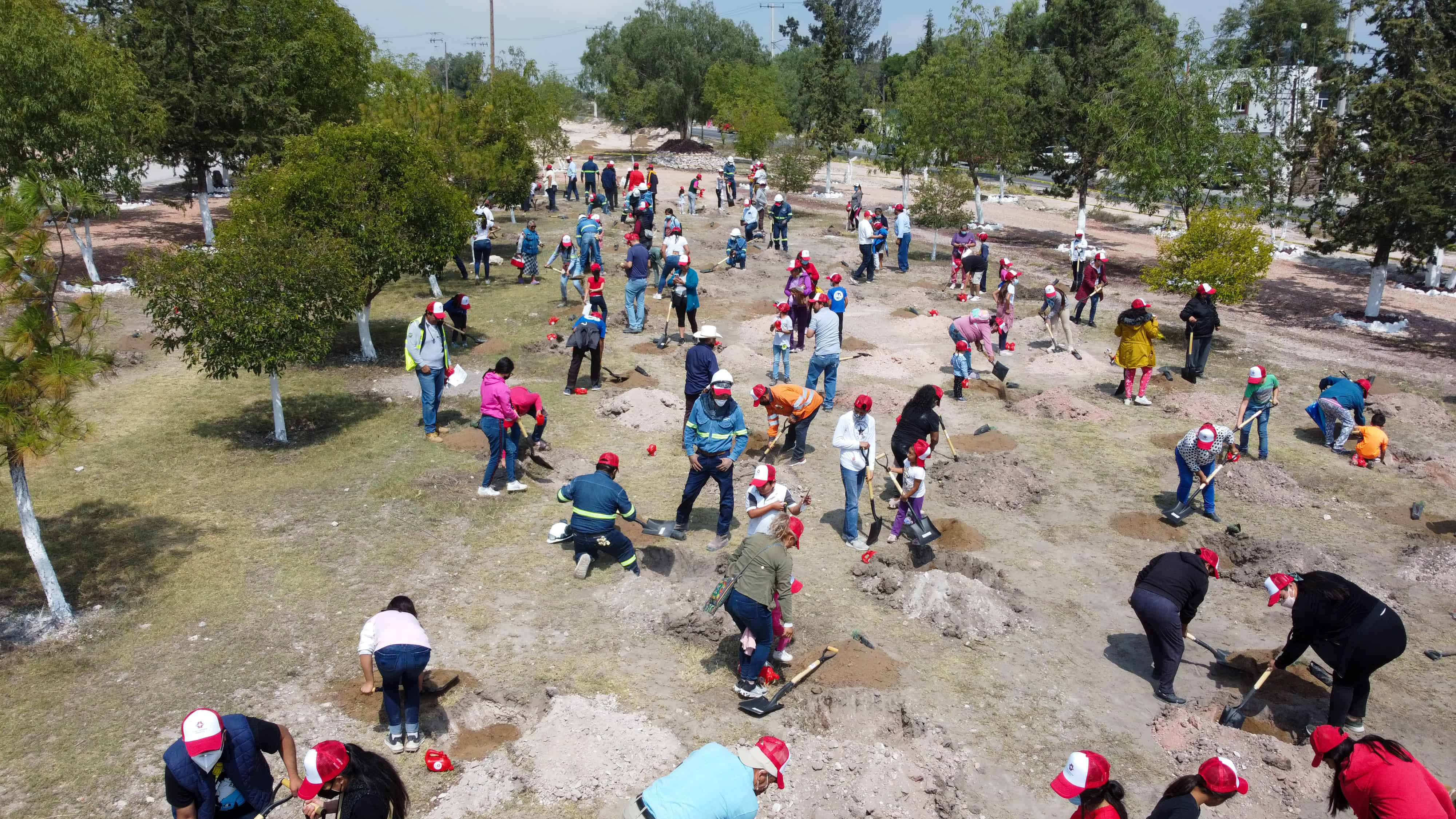 Jornada de reforestación “En Grupo Plantamos el Futuro“
