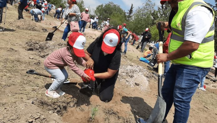 Jornada de reforestación “En Grupo Plantamos el Futuro“