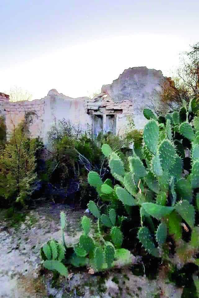 Celebra 88 años Ejido El Venado