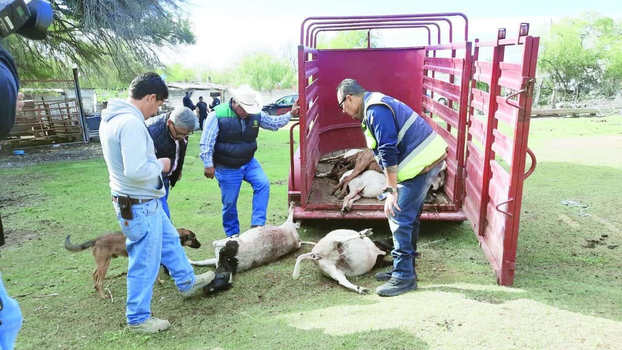 Retorna el Puma al Ejido Pozuelos
