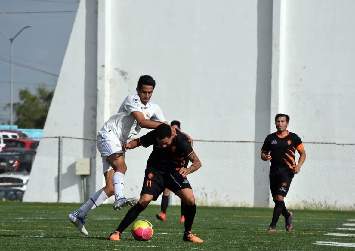Alpha triunfa en la cancha