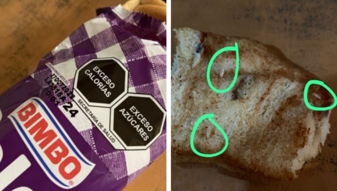 Joven reclama a Bimbo por compra de producto engusanado