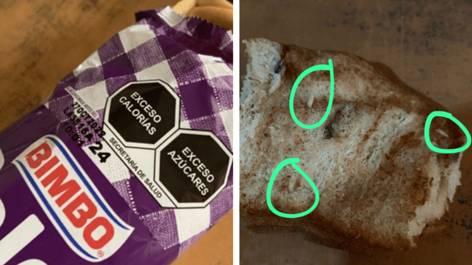 Joven reclama a Bimbo por compra de producto engusanado