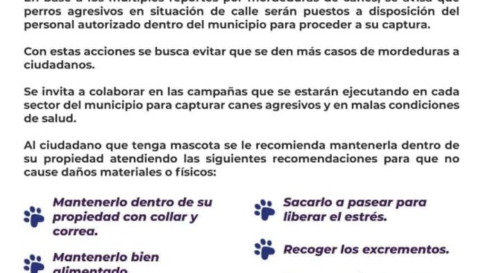 Arranca campaña de aseguramiento de canes agresivos 