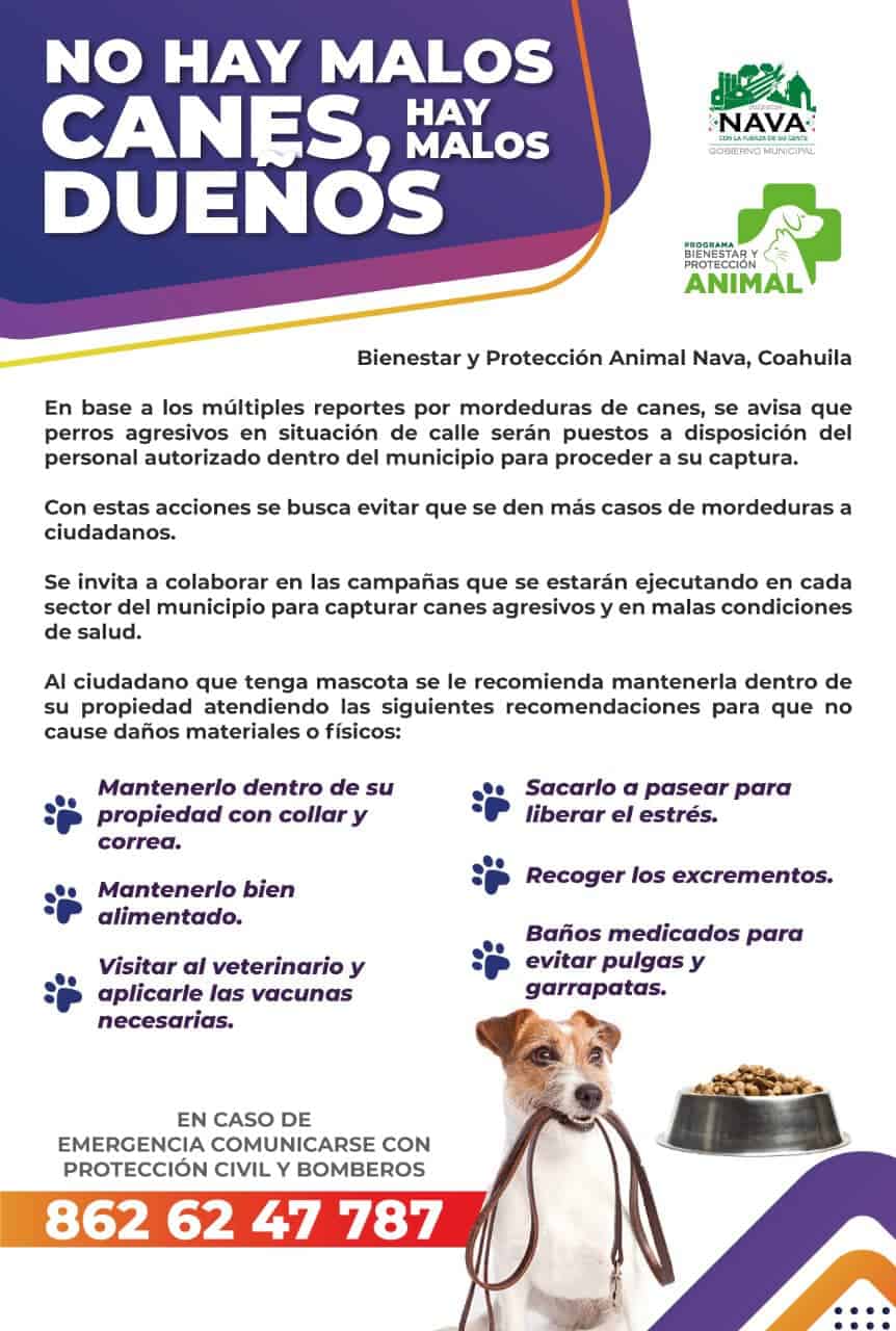 Se recomiendan mantener a las mascotas resguardadas.