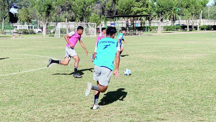 Llegan los Avispones al Nora Leticia Rocha