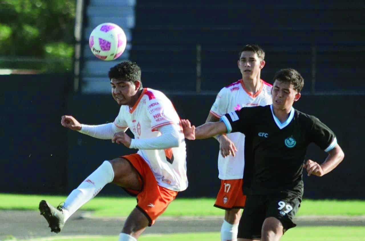Llegan los Avispones al Nora Leticia Rocha