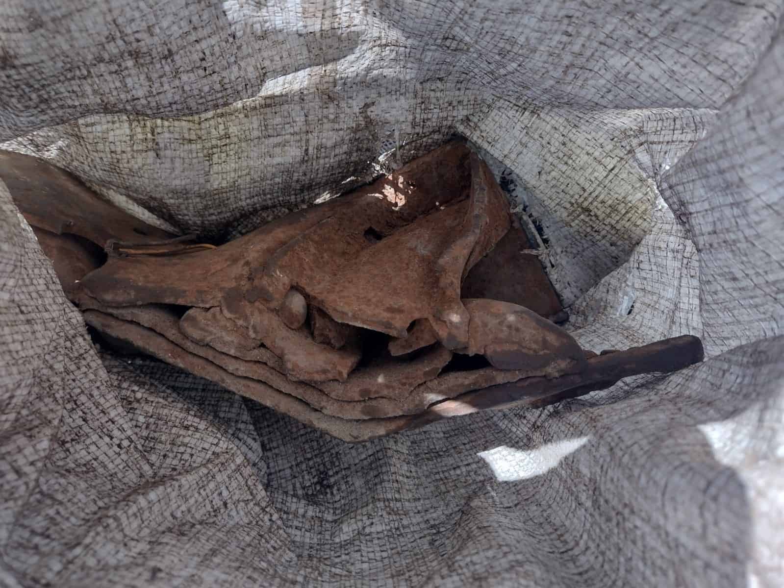 Tuercen a ‘ratas’ saqueando vagones
