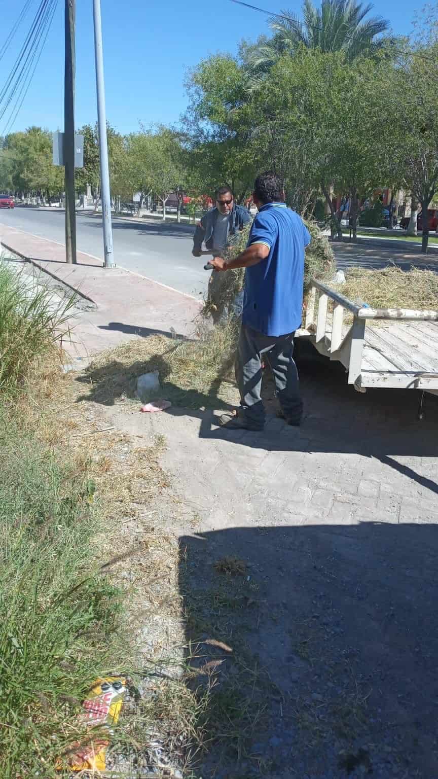 Limpian Alameda ‘Juárez’