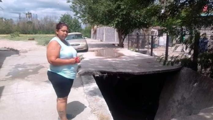 Plaga de ratas en Arroyo 6 de Nueva Rosita 