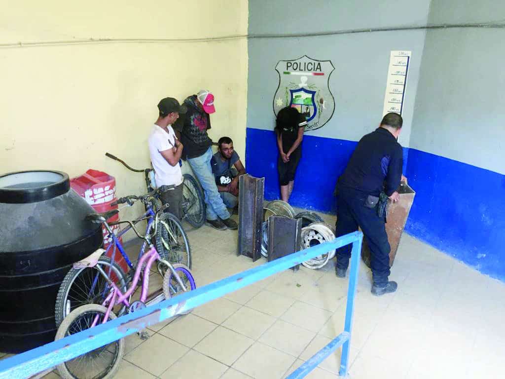 Desarticulan banda de ratas