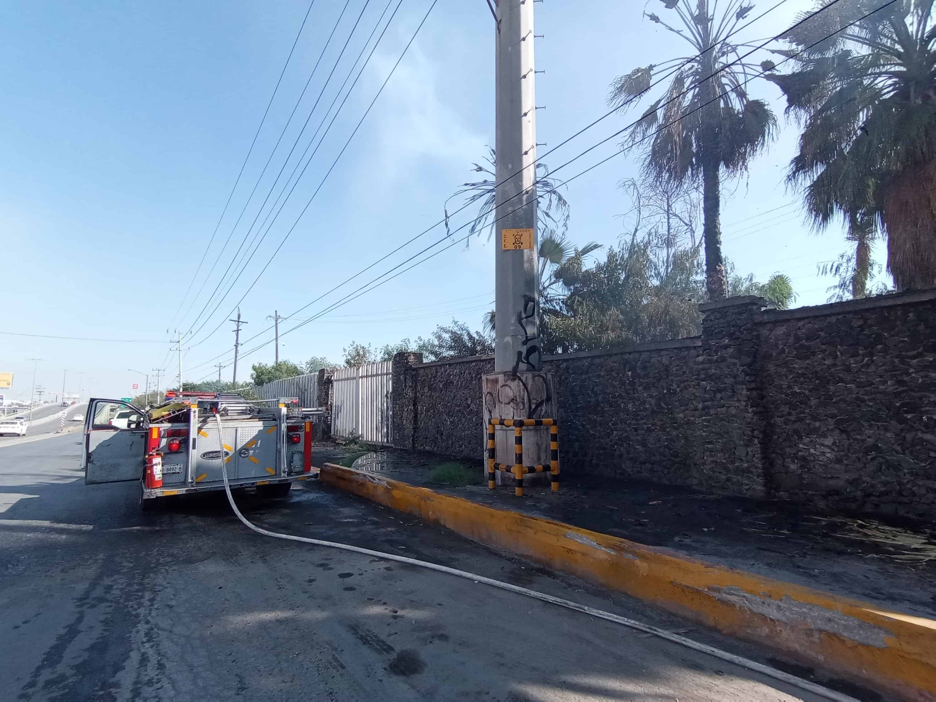 Arde palma en AHMSA