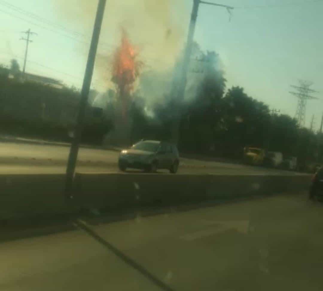 Arde palma en AHMSA