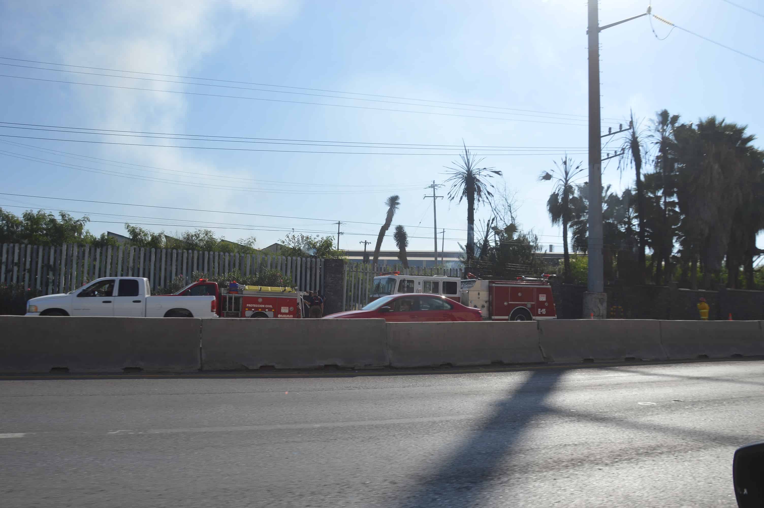 Arde palma en AHMSA