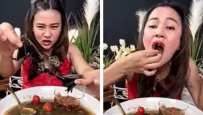 Youtuber tailandesa es arrestada por comer un murciélago