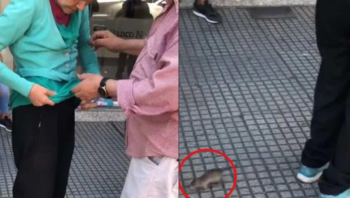 Una rata se le trepa al cuerpo y nadie entendía qué le pasaba 