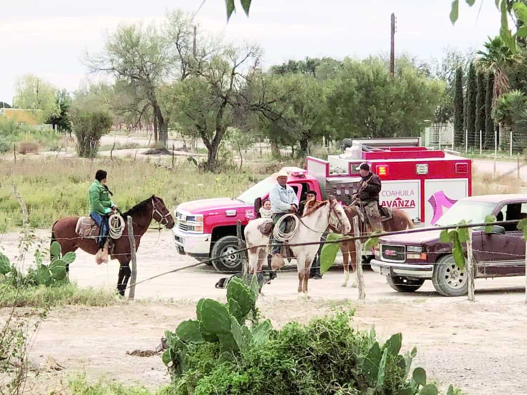 Capturan oso en Escobedo 