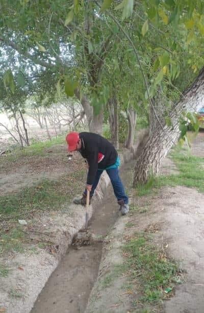 Reforesta Hugo en San Buena