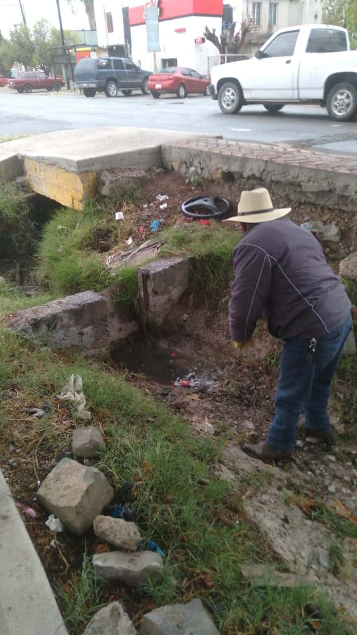 Reforesta Hugo en San Buena