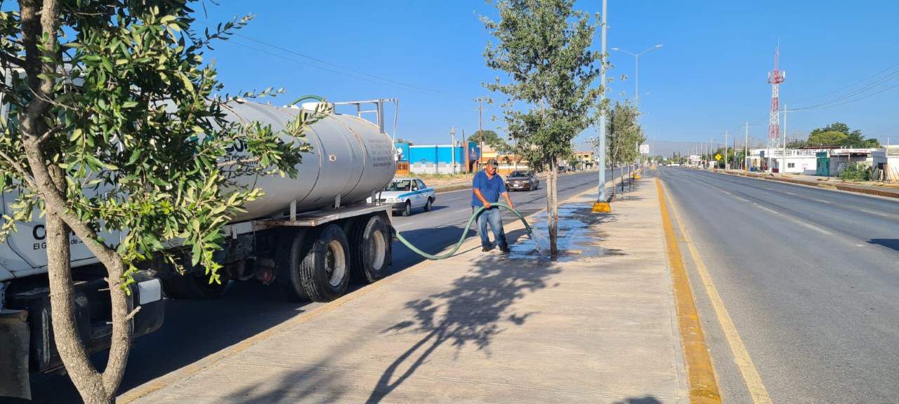 Reforesta Hugo en San Buena