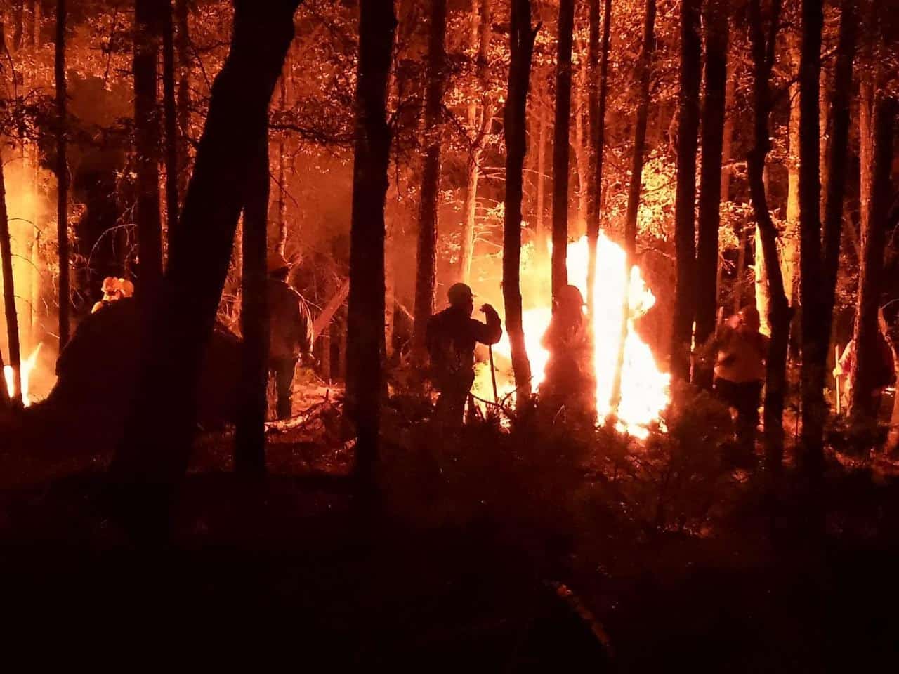 Realizan quema de Madera en Sabinas