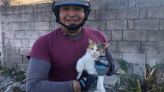 Rescatan bomberos de Frontera a gatito