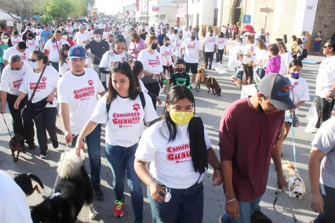 También habrá aplicación de vacuna antirrábica, desparasitación y pipeta contra garrapatas.