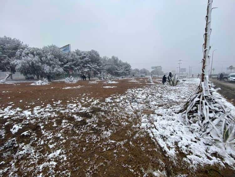 Cae nieve en Ramos Arizpe
