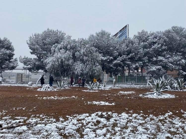 Cae nieve en Ramos Arizpe