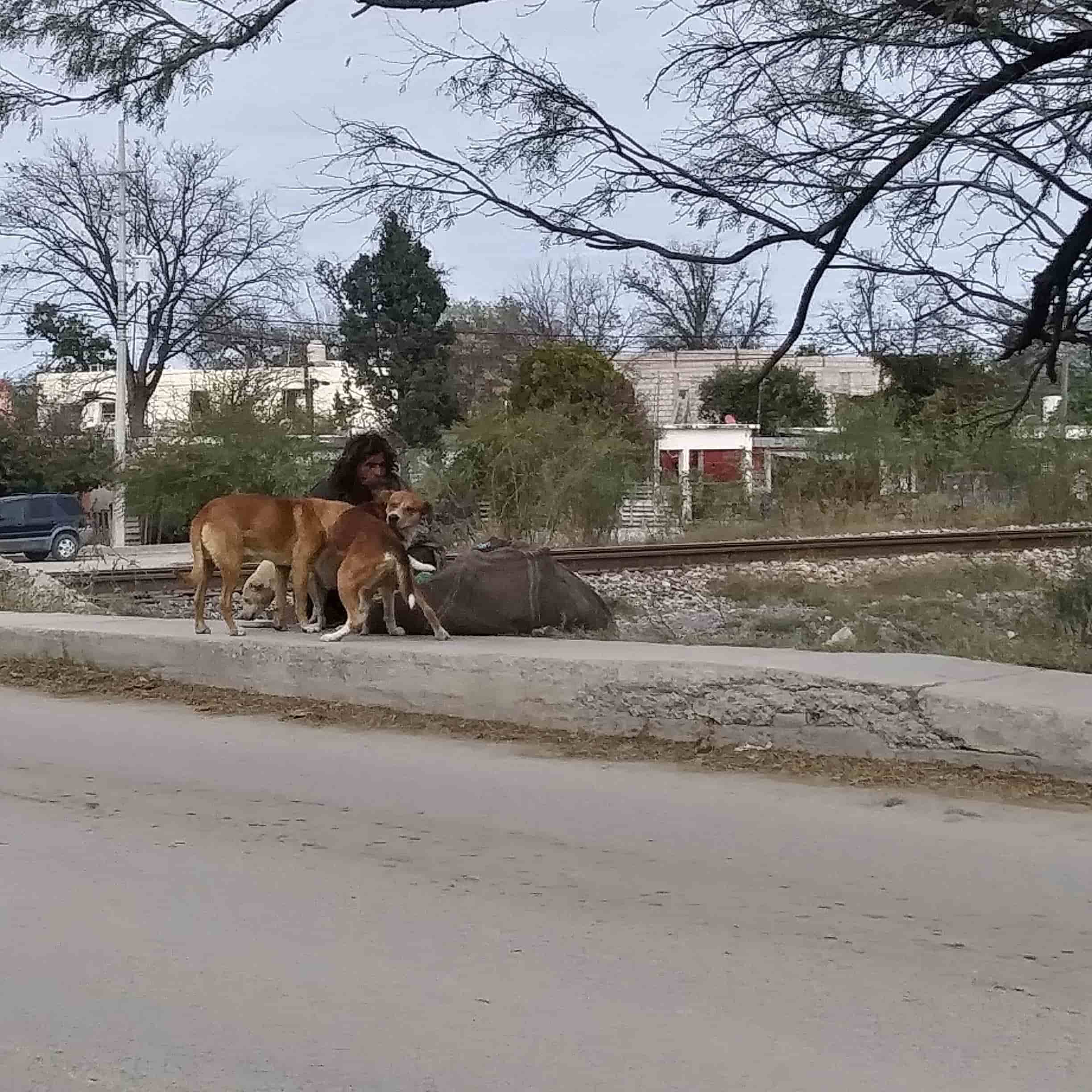 Pasan indigentes noche en la calle