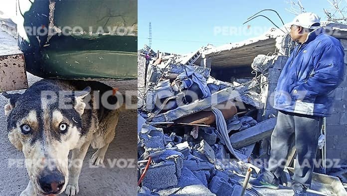 Perros mordieron la manguera del gas y eso provocó la acumulación, la explosión y el colapso de la casa