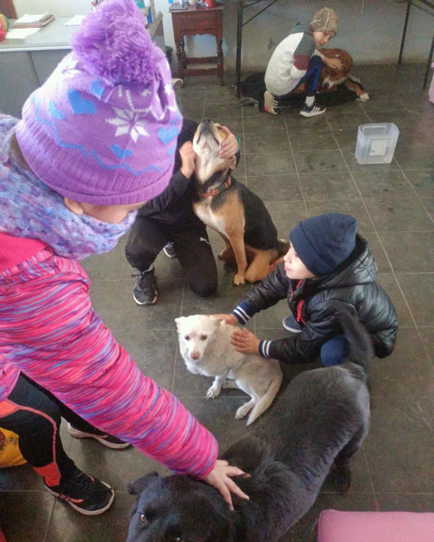 Se hicieron felices mutuamente, los pequeños convivieron con los perritos y les llevaron alimento.