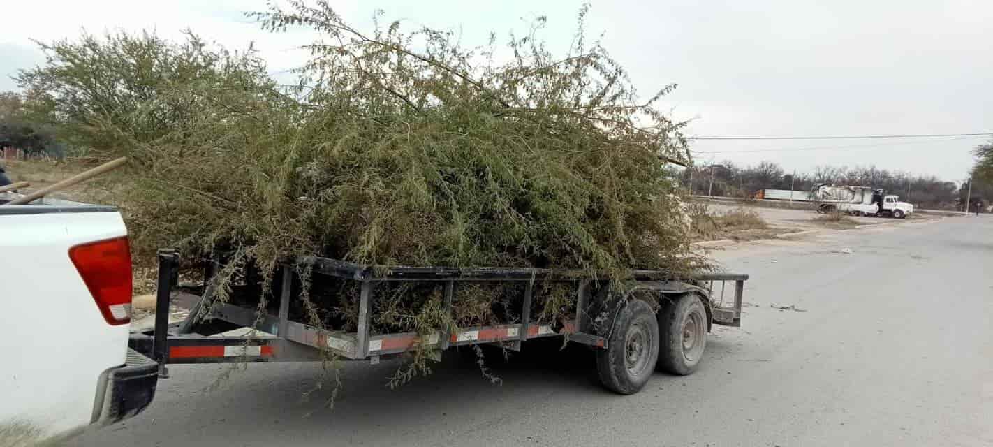 Mantienen labores de limpieza en Nava 