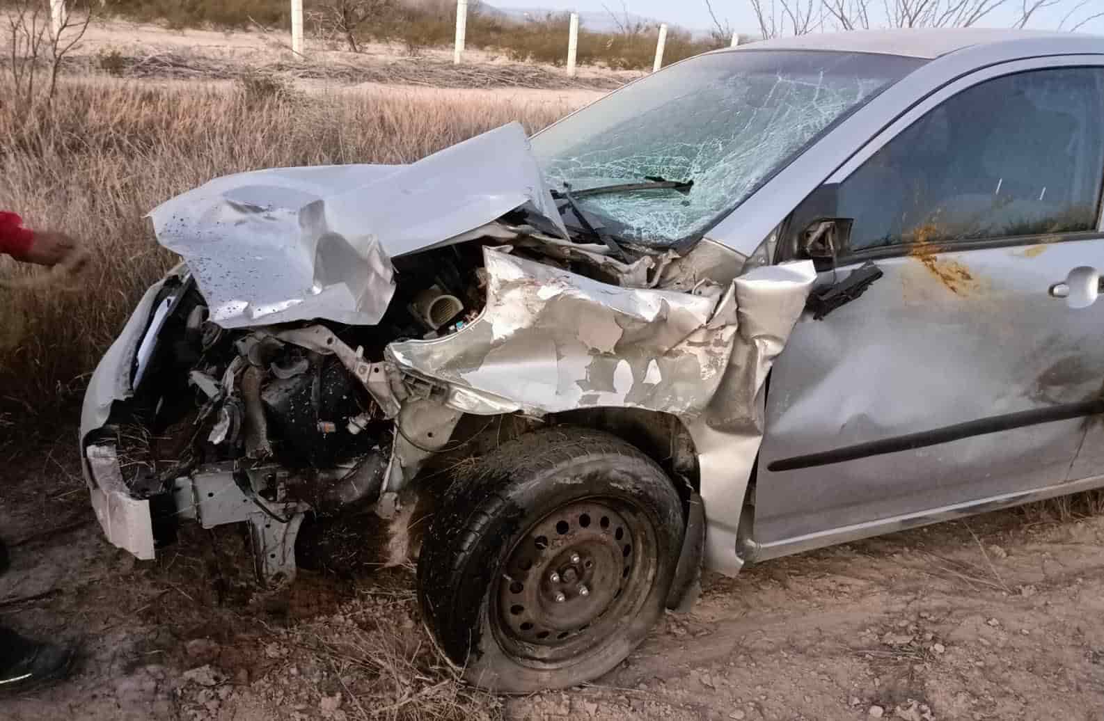 Atropella y mata a ‘Bambi’