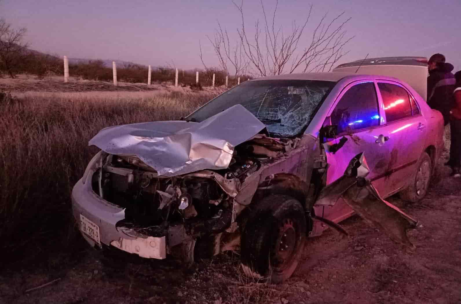Atropella y mata a ‘Bambi’